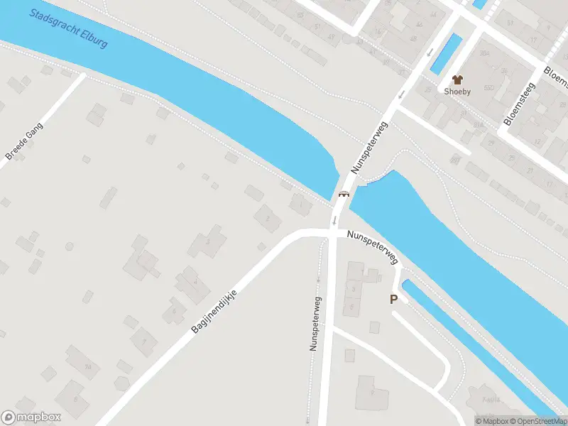 Brandweer met grote spoed naar de Bagijnendijkje in Elburg vanwege voertuigbrand