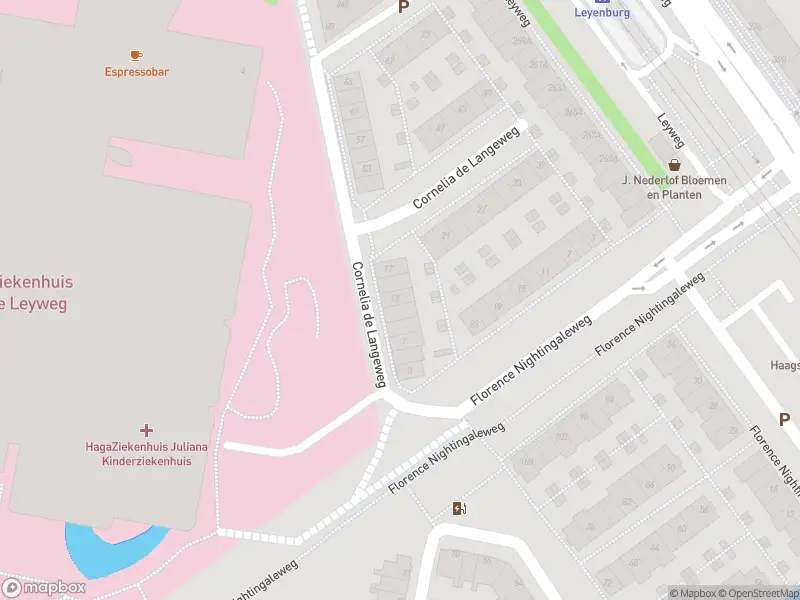 Brandweer met gepaste spoed naar de Florence Nightingaleweg in 's-Gravenhage vanwege stankoverlast