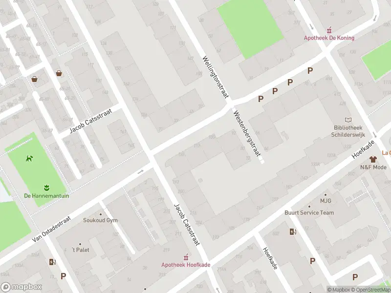 Traumahelikopter met grote spoed naar de Westenbergstraat in 's-Gravenhage