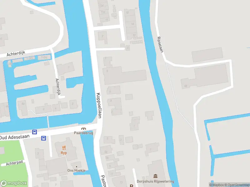 Overlastmelding Koppoellaan in Rijpwetering