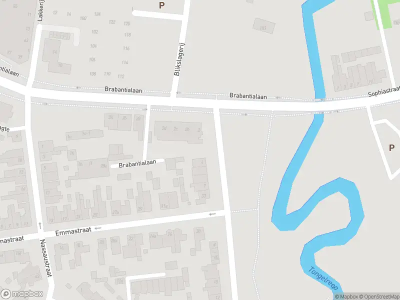 Overlastmelding Anna Paulownalaan in Waalre (5583 BE) gesloten