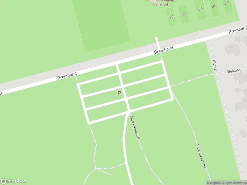 Politie naar de Bremhorst in Sint-Oedenrode vanwege ongeval met letsel