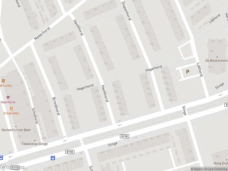 Ambulance met grote spoed naar de Havikhorst in Rotterdam