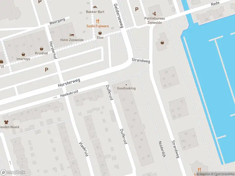 Brandweer met gepaste spoed naar de Duifkruid in Zeewolde