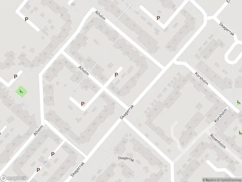 Ambulance met gepaste spoed naar de Birkholm in Hoofddorp