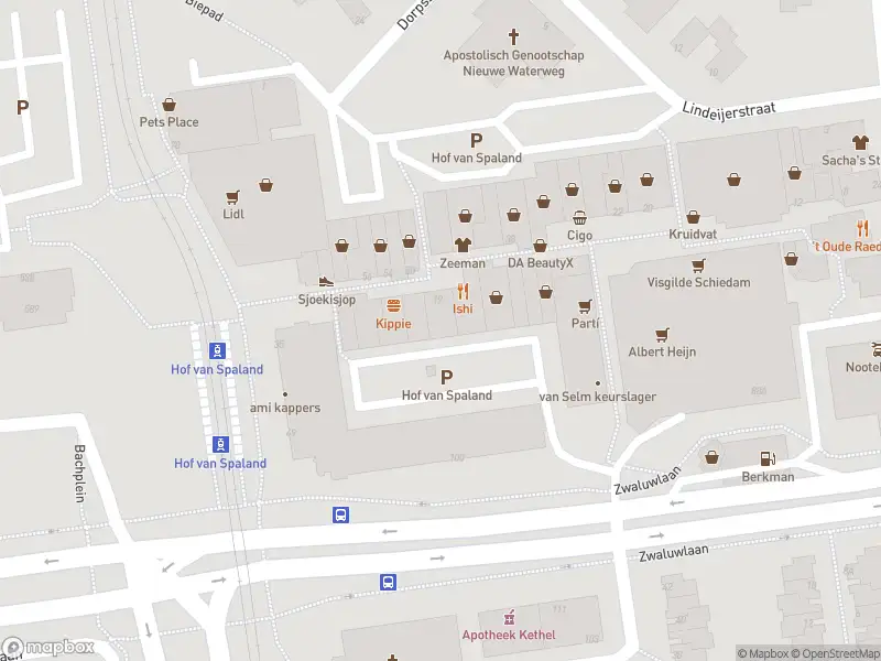 Ambulance met gepaste spoed naar de Hof van Spaland in Schiedam