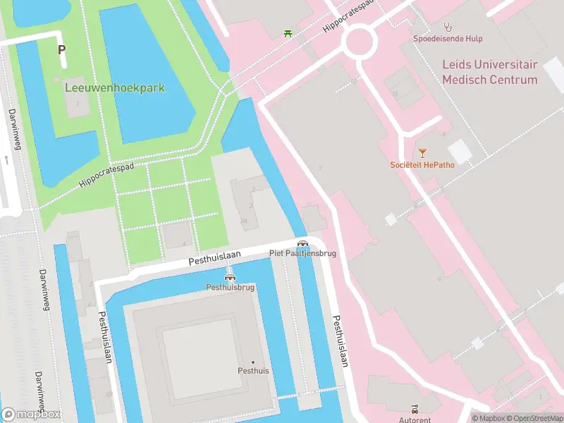 Ambulance met gepaste spoed naar de Pesthuislaan in Leiden