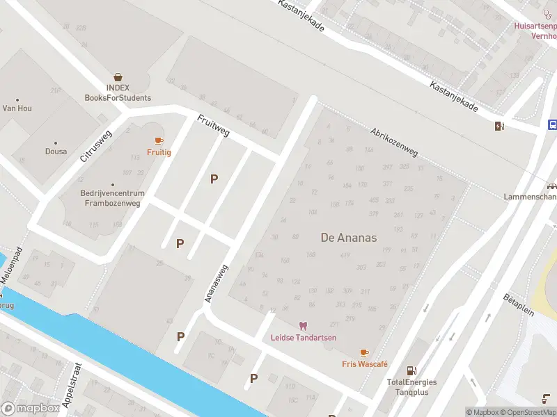 Ambulance met grote spoed naar de Ananasweg in Leiden