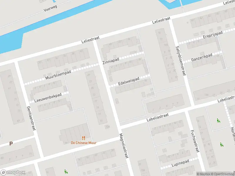 Ambulance met grote spoed naar de Edelweispad in Spijkenisse