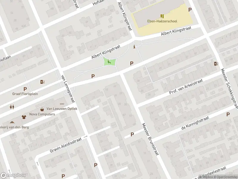 Brandweer met gepaste spoed naar de Willem van der Kaaijstraat in 's-Gravenzande