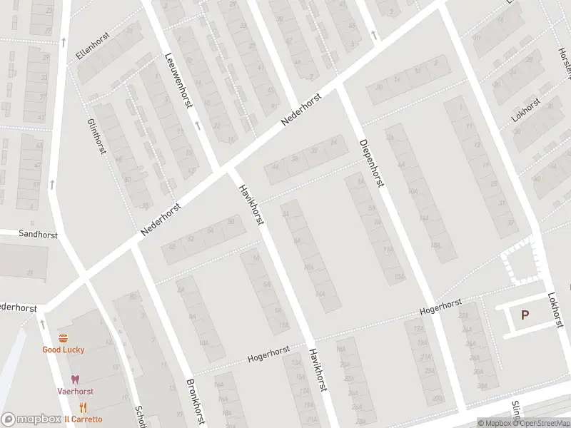 Ambulance met grote spoed naar de Havikhorst in Rotterdam