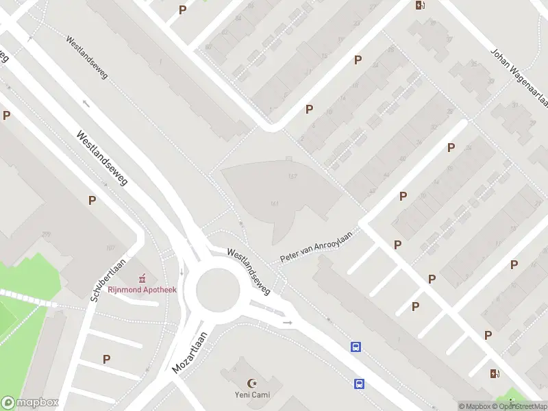 Overlastmelding Peter van Anrooylaan in Maassluis