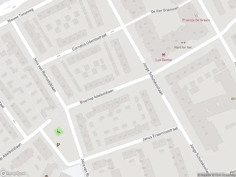 Brandweer met gepaste spoed naar de Bisschop Adelboldlaan in Tiel