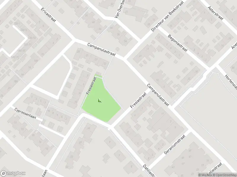 Overlastmelding Fresiastraat in Sint-Michielsgestel