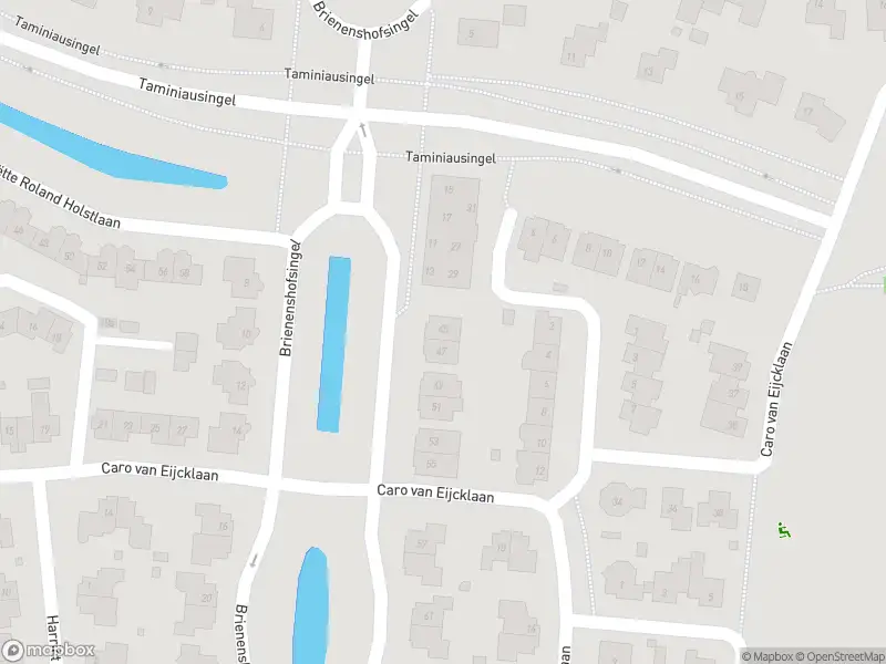 Overlastmelding Brienenshofsingel in Elst