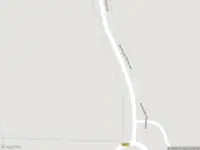 Overlastmelding Berenklauw in 6665HW Driel