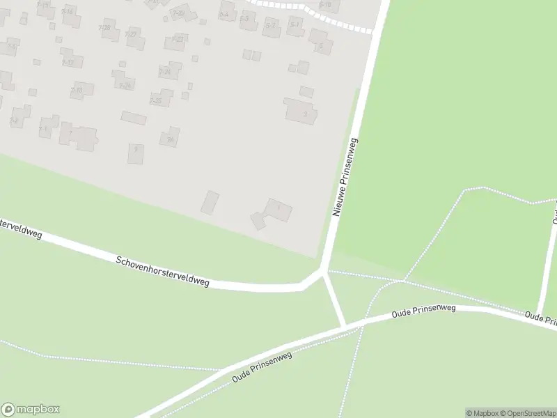 Traumahelikopter naar de Nieuwe Prinsenweg in Putten