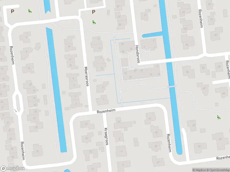 Brandweer met gepaste spoed naar de Markt in Dedemsvaart vanwege stankoverlast