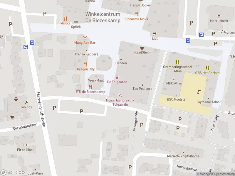 Brandweer met gepaste spoed naar de Tolplaats in Leusden