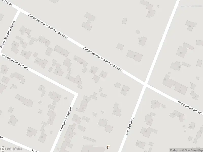 Traumahelikopter met grote spoed naar de Burgemeester vd Boschlaan in Leersum