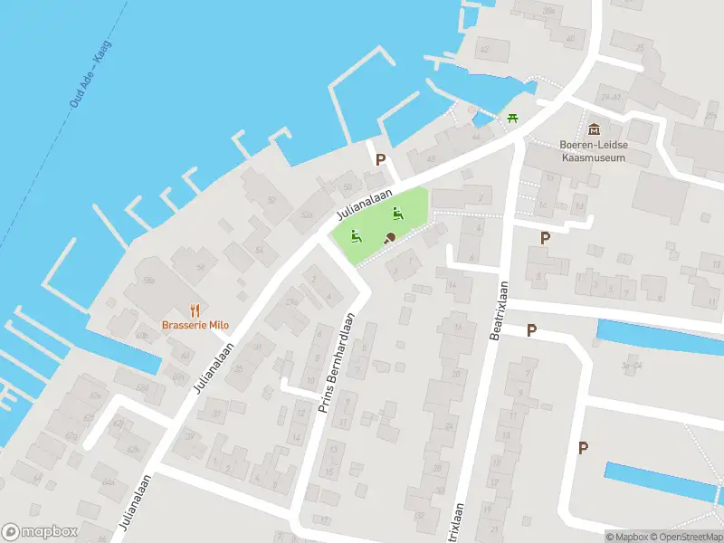 Ambulance met grote spoed naar de Prins Bernhardlaan in Kaag