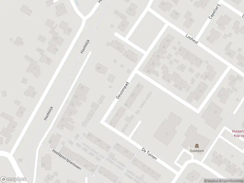 Ambulance met grote spoed naar de Geuzenpad in Goedereede