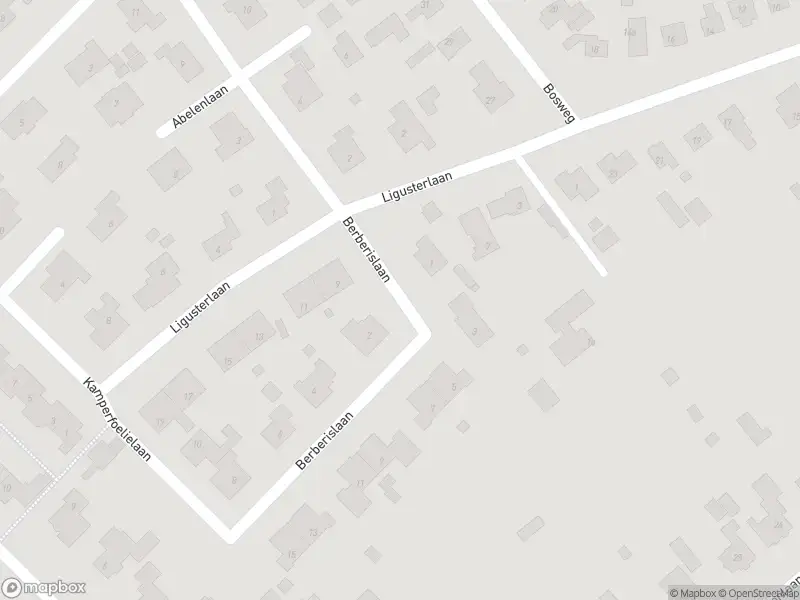 Ambulance met grote spoed naar de Berberislaan in Oostvoorne