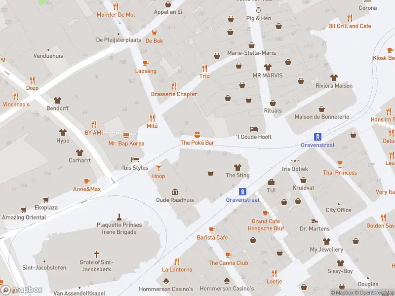 Brandweer met grote spoed naar de Grote Halstraat in 's-Gravenhage vanwege waarnemen gaslucht