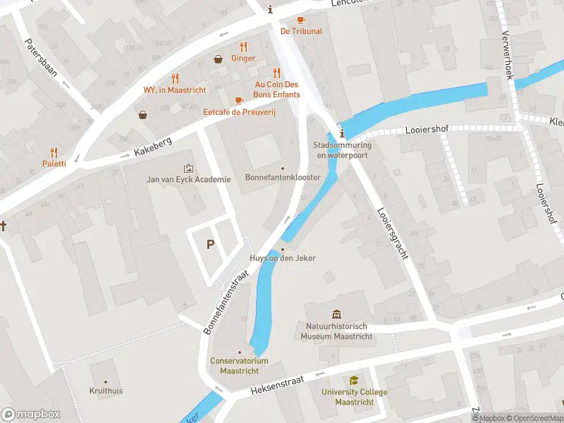 Brandweer met gepaste spoed naar de Bonnefantenstraat in Maastricht