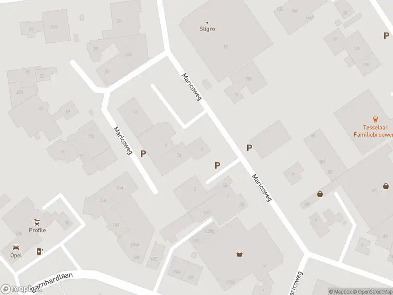 Ambulance naar de Maricoweg in Den Burg