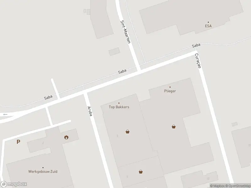 Brandweer met grote spoed naar de Saba in Apeldoorn