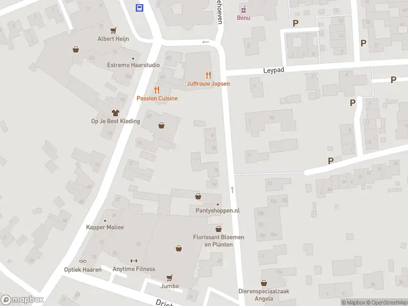 Traumahelikopter met grote spoed naar de Driehoeven in Haaren vanwege letsel