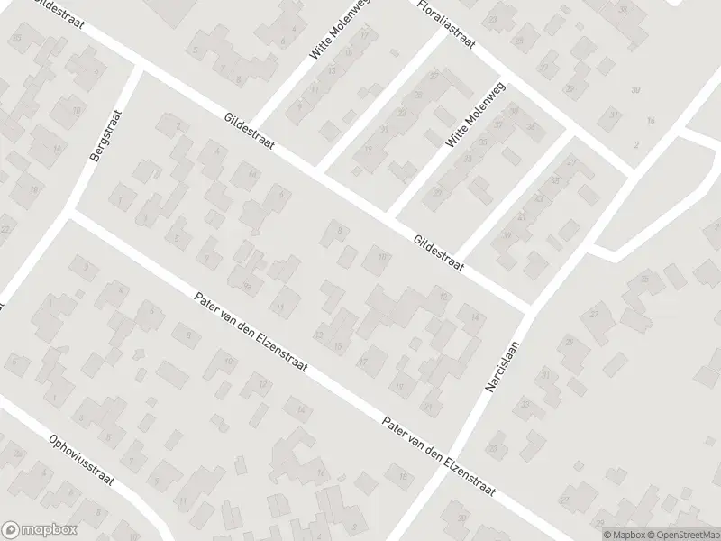 Brandweer met gepaste spoed naar de Bosschebaan in Heesch