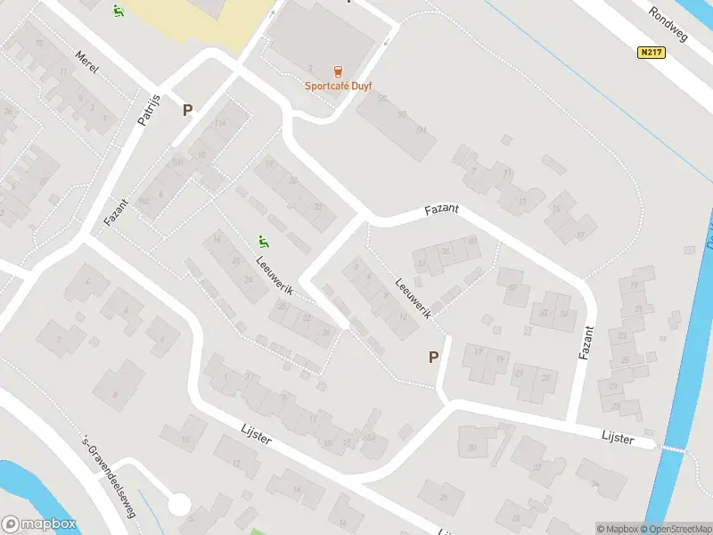 Ambulance met gepaste spoed naar de Leeuwerik in Maasdam