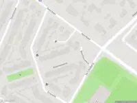 Overlastmelding Boomleeuwerik in Goirle gesloten