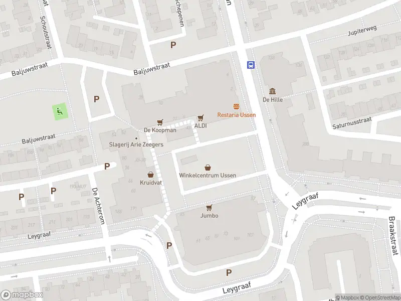 Brandweer met gepaste spoed naar de Wolfskooi in Oss