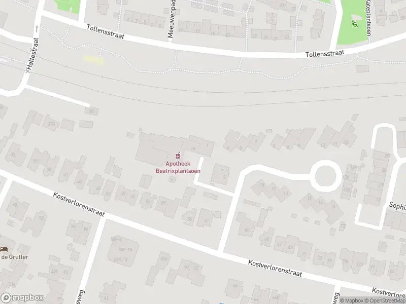 Ambulance met gepaste spoed naar de Beatrixplantsoen in Zandvoort