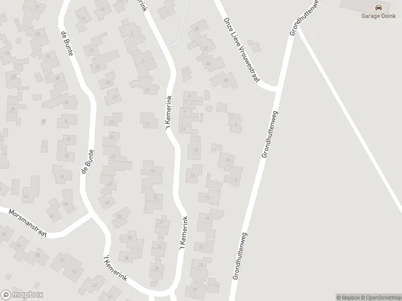 Brandweer met gepaste spoed naar de Kastanjestraat in Bentelo