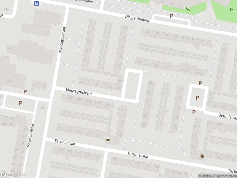 Anonieme overlastmelding Mascagnistraat in Tilburg gesloten