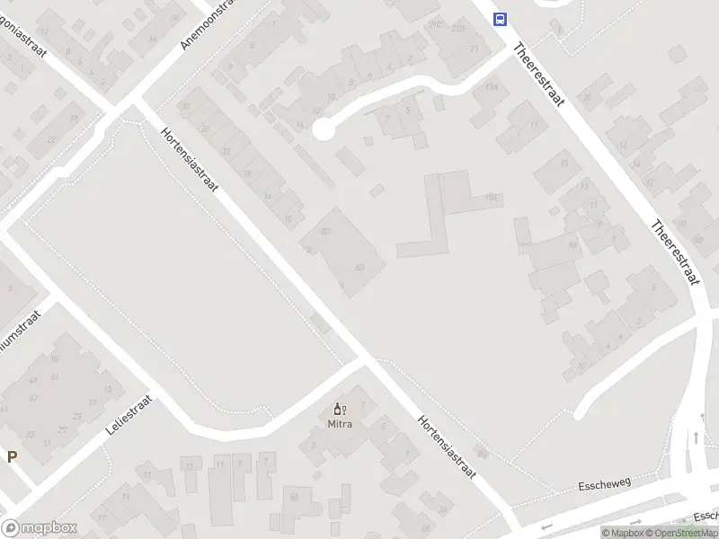 Overlastmelding Hortensiastraat in Sint-Michielsgestel