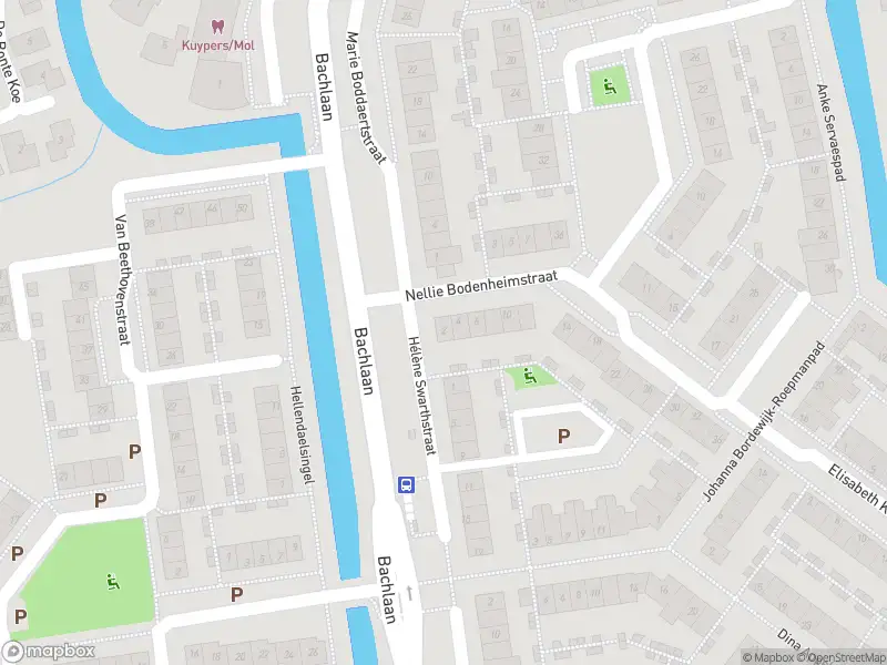 Overlastmelding Nellie Bodenheimstraat in Gorinchem