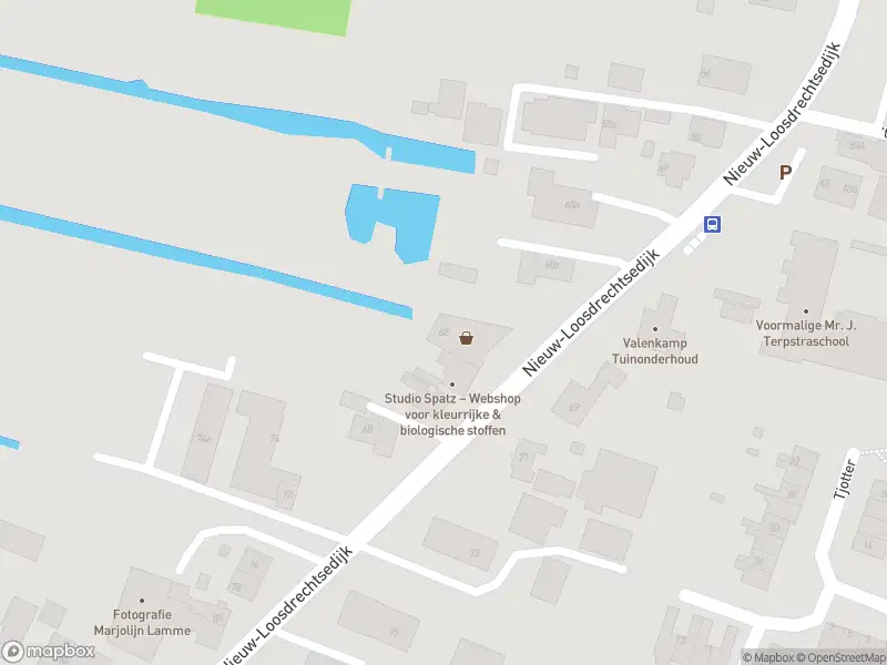 Overlastmelding Nieuw-Loosdrechtsedijk in Loosdrecht