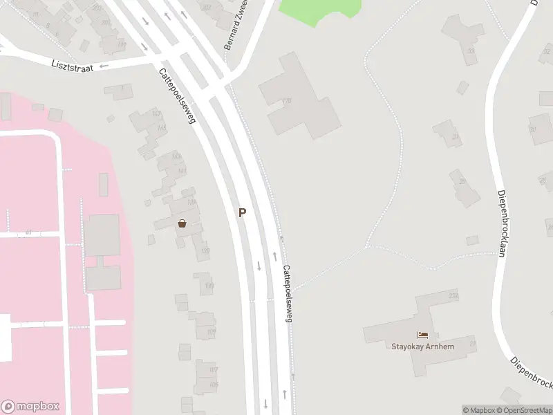 Overlastmelding Cattepoelseweg in Arnhem gesloten