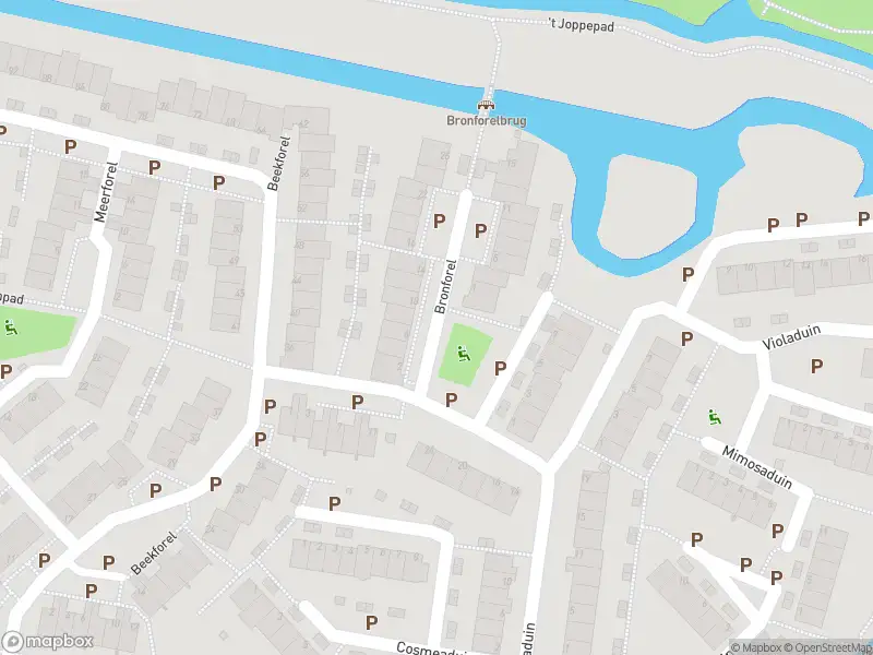 Brandweer met gepaste spoed naar de Bronforel in Leiden