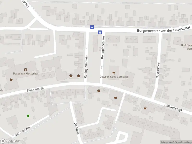 Brandweer met gepaste spoed naar de Koninginneplein in Oosterland