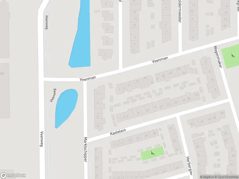 Ambulance met grote spoed naar de Veenman in Wilnis