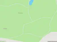 Brandweer met gepaste spoed naar de Dallingeweersterweg in Termunten