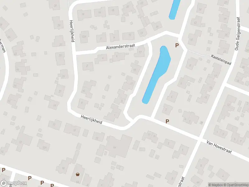 Brandweer met gepaste spoed naar de Maximiliaanstraat in Sint Jansteen