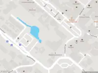 Politie met grote spoed naar de Grote Kerkstraat in Raamsdonksveer vanwege letsel