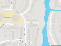 Overlastmelding Patrijs in Oud-Beijerland